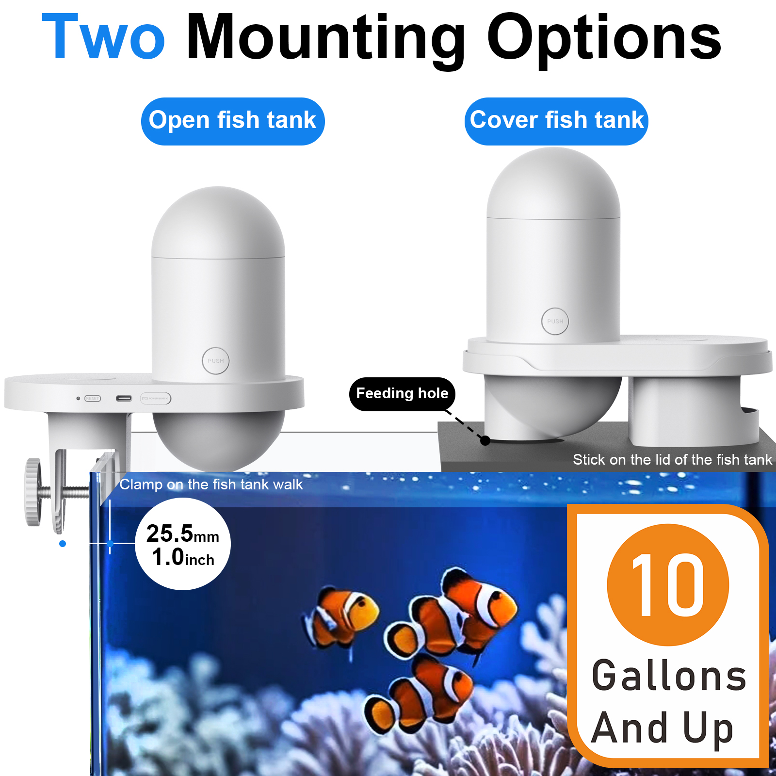 Automatic Fish Feeder With Cam - Fishing Line Dispenser incelemesi ve fiyatı