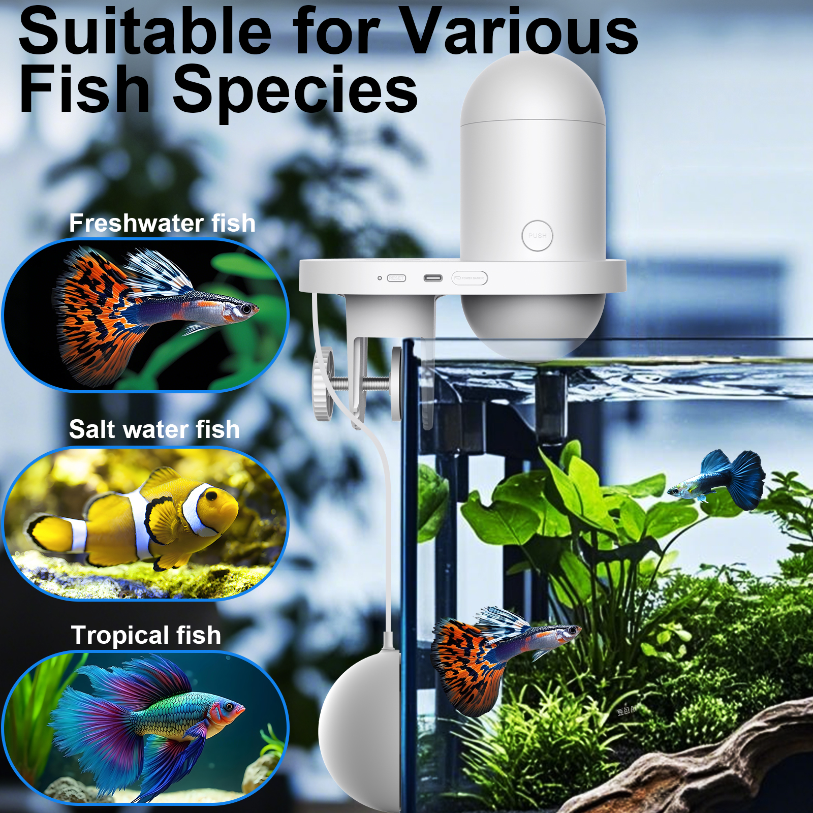 Automatic Fish Feeder With Cam - Fishing Line Dispenser incelemesi ve fiyatı